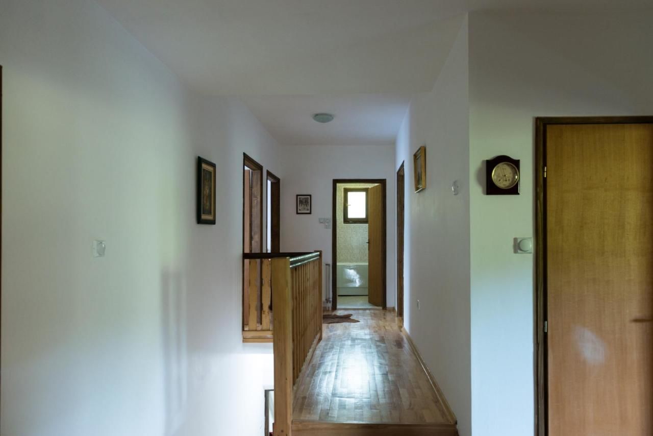 Виллы Montana Chalet Kolasin Колашин